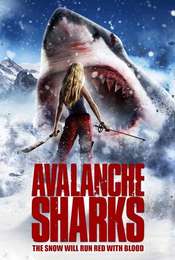 Avalanche Sharks