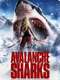 Avalanche Sharks