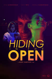 Hiding in the Open - Poster