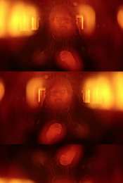 Homo Sapiens Project (100)
