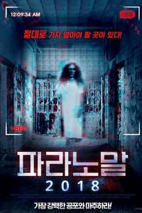 Paranormal Asylum: The Revenge of Typhoid Mary - Poster