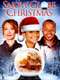 A Snow Globe Christmas