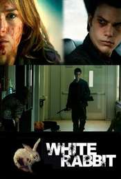White Rabbit