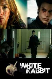 White Rabbit - Poster