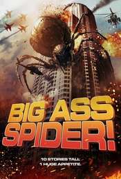Big Ass Spider!