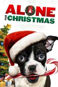 Alone For Christmas - Poster