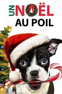 Alone For Christmas - Poster