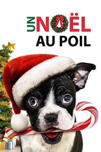 Alone For Christmas - Poster