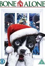 Alone For Christmas