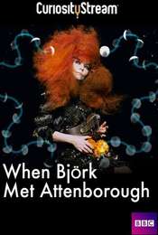 When Bjork Met Attenborough