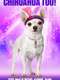 Chihuahua too!