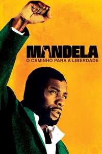 Mandela: Long Walk to Freedom - Poster