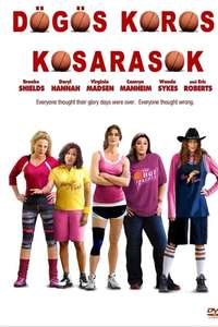 The Hot Flashes - Poster