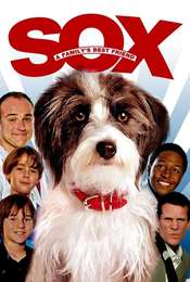 Sox: A Family's Best Friend