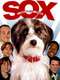 Sox: A Family's Best Friend