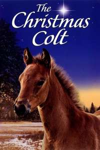 The Christmas Colt - Poster