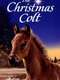 The Christmas Colt