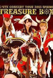 ℃-ute Concert Tour 2013 Haru ~Treasure Box~