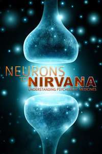 Neurons to Nirvana - Poster