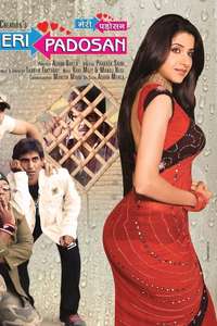 Meri Padosan - Poster