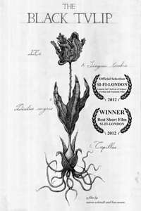 The Black Tulip - Poster