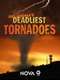 Oklahoma's Deadliest Tornadoes