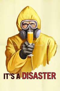 It's a Disaster - Poster