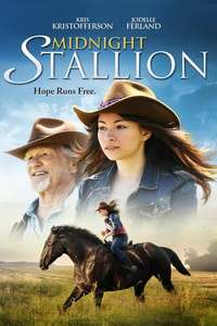 Midnight Stallion - Poster