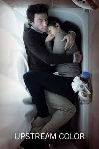 Upstream Color - Poster