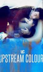 Upstream Color