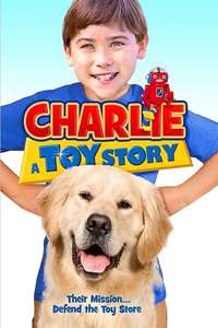 Charlie: A Toy Story - Poster