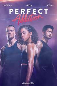 Perfect Addiction - Poster