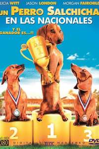 Wiener Dog Nationals - Poster