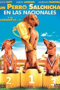 Wiener Dog Nationals - Poster