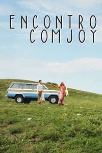 Finding Joy - Poster