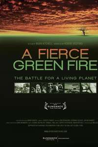 A Fierce Green Fire - Poster