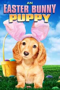 An Easter Bunny Puppy - Poster