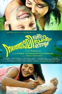Natholi Oru Cheriya Meenalla - Poster