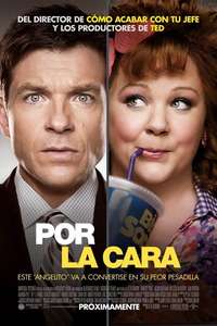 Identity Thief - Poster