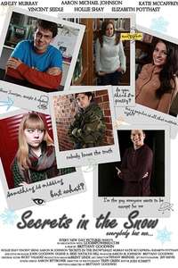 Secrets In The Snow - Poster
