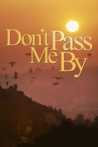 Don't Pass Me By - Poster