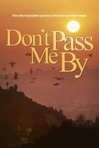 Don't Pass Me By - Poster
