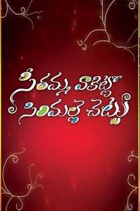 Seethamma Vakitlo Sirimalle Chettu - Posters
