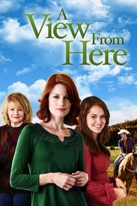 Mending Fences - Poster