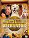 The Gold Retrievers