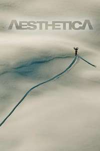 Aesthetica - Poster