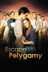 Escape from Polygamy - Poster