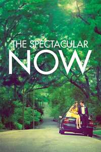 The Spectacular Now - Poster