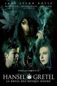 Hansel and Gretel Get Baked - Poster
