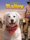 Adventures of Bailey: A Night in Cowtown